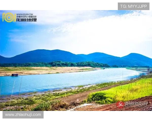 掌握老虎机单机游戏手机版大满贯的技巧与攻略助你轻松实现游戏中的大满贯梦想